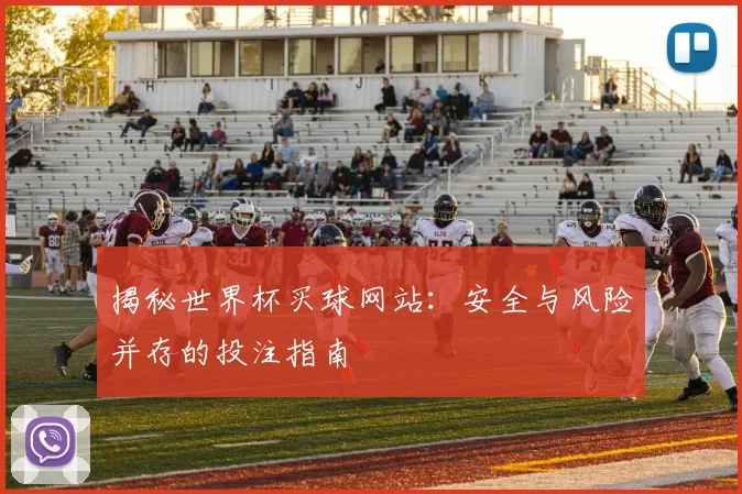 揭秘世界杯买球网站：安全与风险并存的投注指南