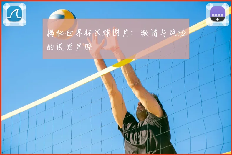 揭秘世界杯买球图片：激情与风险的视觉呈现