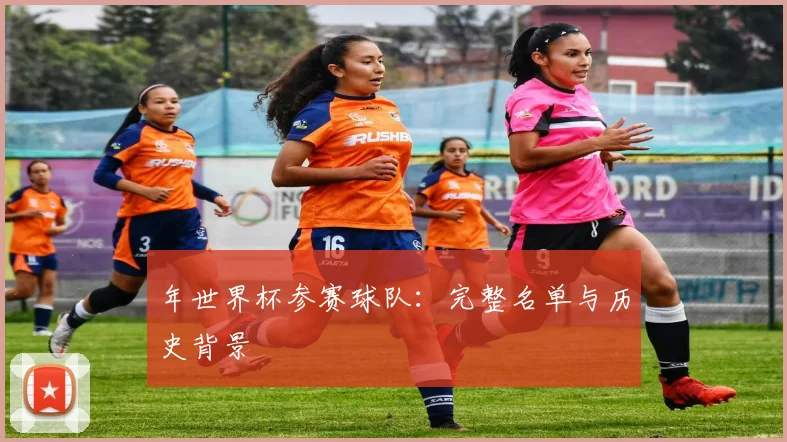 年世界杯参赛球队：完整名单与历史背景