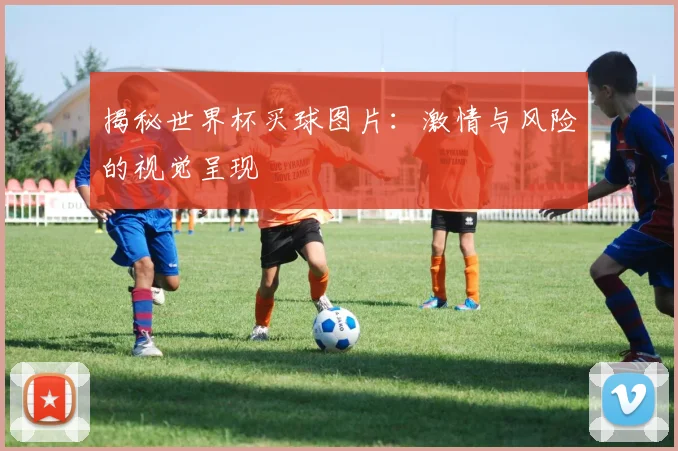 揭秘世界杯买球图片：激情与风险的视觉呈现
