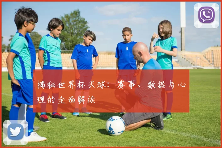 揭秘世界杯买球：赛事、数据与心理的全面解读