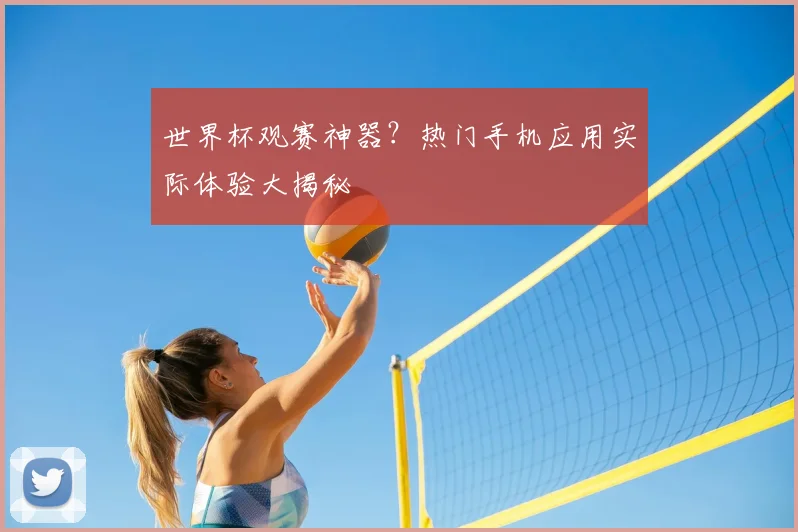 世界杯观赛神器？热门手机应用实际体验大揭秘
