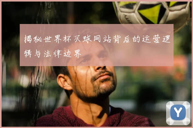 揭秘世界杯买球网站背后的运营逻辑与法律边界