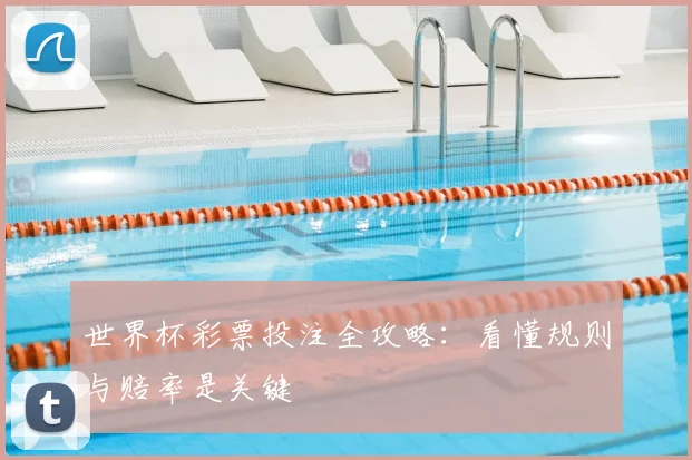 世界杯彩票投注全攻略：看懂规则与赔率是关键