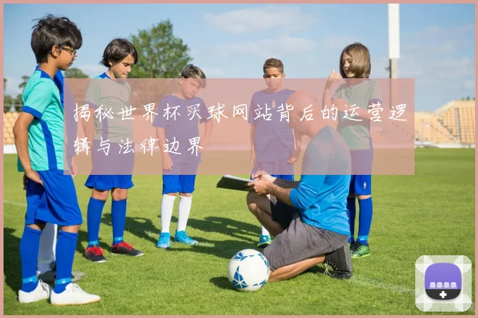 揭秘世界杯买球网站背后的运营逻辑与法律边界
