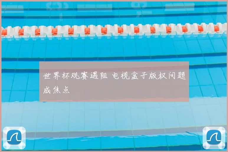 世界杯观赛遇阻 电视盒子版权问题成焦点