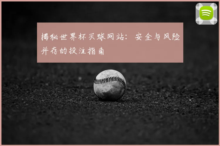 揭秘世界杯买球网站：安全与风险并存的投注指南