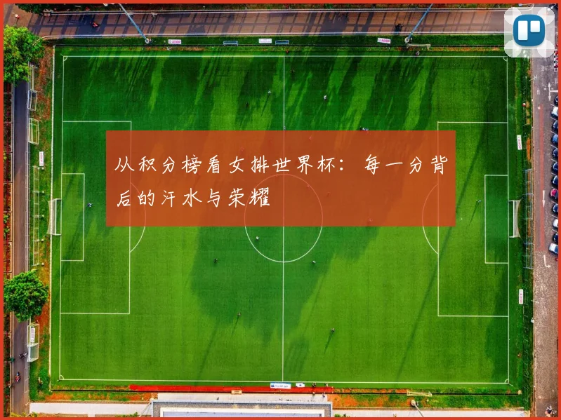 从积分榜看女排世界杯：每一分背后的汗水与荣耀