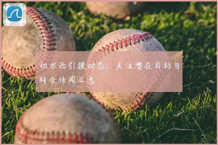 切尔西引援动态：关注潜在目标与转会传闻汇总